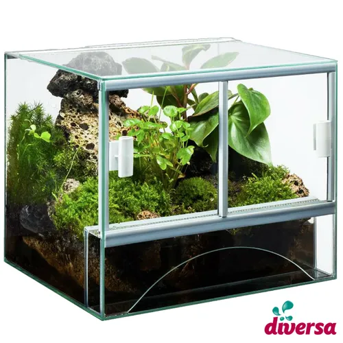 Glas Terrarium 40x30x30cm mit Schiebetür - Hochwertiges 36 Liter Terrarium aus Glas, ideal für Ihre Reptilien oder Pflanzen, mit praktischer Schiebetür für einfachen Zugang.