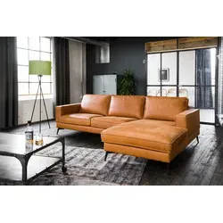 Sofas Braun von KAWOLA