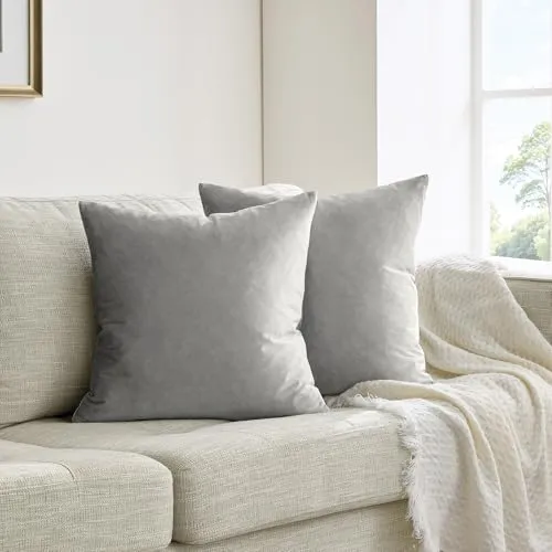GIGIZAZA 2er Set Grau Kissenbezug Samt Kissenbezüge Dekorative Kissenhülle Sofakissen Zierkissen deko Dekokissen für Wohnzimmer Schlafzimmer Sofa Auto 40cmx40cm