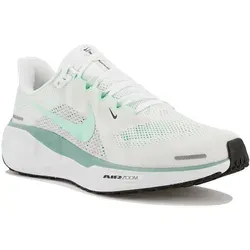 Nike Pegasus 41 Damen Laufschuhe von Nike