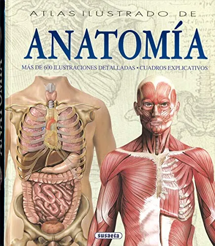 Produktbild Atlas ilustrado de anatomía
