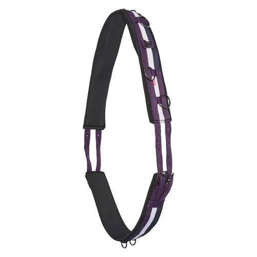 Halfter Schwarz von Imperial Riding