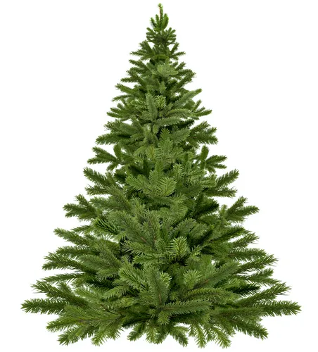 Künstlicher Weihnachtsbaum mit Schnee und Zapfen (Ø ca. 135 cm) - Weihnachtsdekoration für festliche Stimmung, ca. 210 cm hoch, dekoriert mit Schnee und Zapfen, ideal für ein besinnliches Fest.