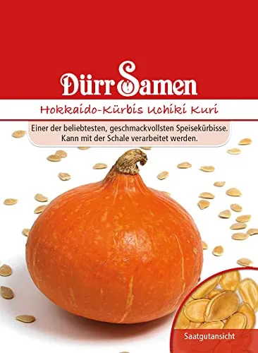 Dürr-Samen - Hokkaido-Kürbis Uchiki Kuri Saatgut