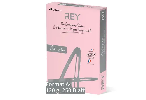 IGEPA group Kopierpapier in pink von IGEPA group