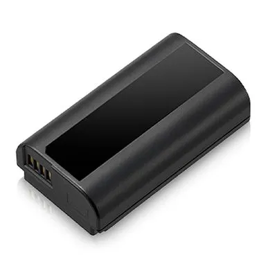 Panasonic Akku DMW-BLJ31E für S1 und S1R