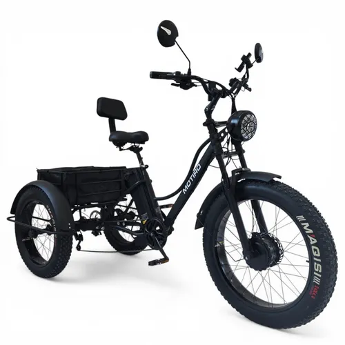 E-Bike Dreirad Lastenfahrrad 48V 15Ah – Stabil und Komfortabel