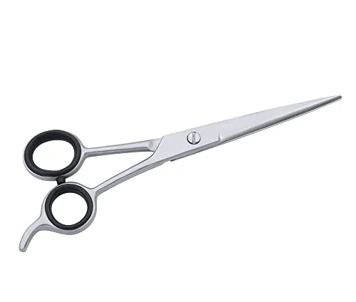 SS INSTRUMENTX Professionelle friseurschere, Premium-Edelstahl haarschneideschere für präzises Schneiden, haarschere für Friseure und den Heimgebrauch, perfekt zum Haareschneiden (Silber)