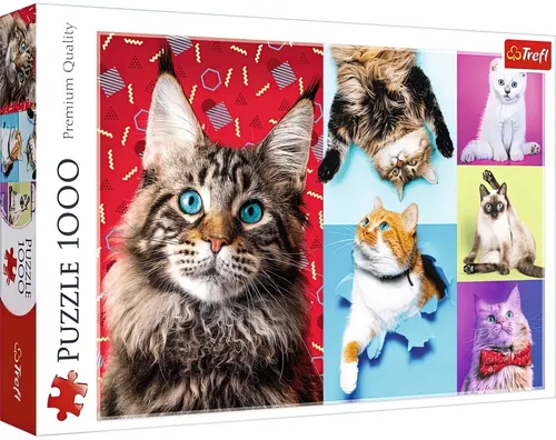 Trefl 10591 Lustige Katzen 1000 Teile - Premium Quality Puzzle, ideal für Entspannung und als Geschenk für Erwachsene und Kinder ab 12 Jahren