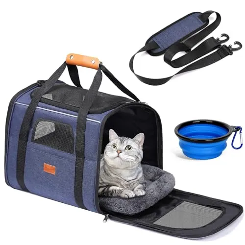 Transportboxen & -taschen von morpilot