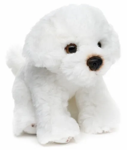 Teddys Rothenburg Kuscheltier Malteser weiß sitzend 13 cm Plüschhund Stofftier (Plüschtier, Stoffhund, Plüschmalteser)