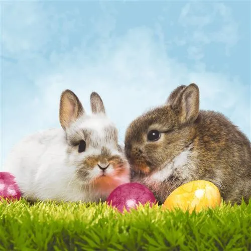 Lunch Servietten Osterfamilie Hase Tier 33 cm 20