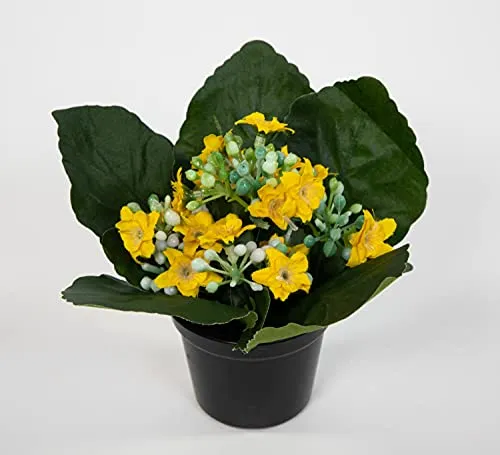 Seidenblumen Roß Kalanchoe 12cm gelb im Topf JA Kunstblumen künstliche Blumen Pflanzen Kunstpflanzen