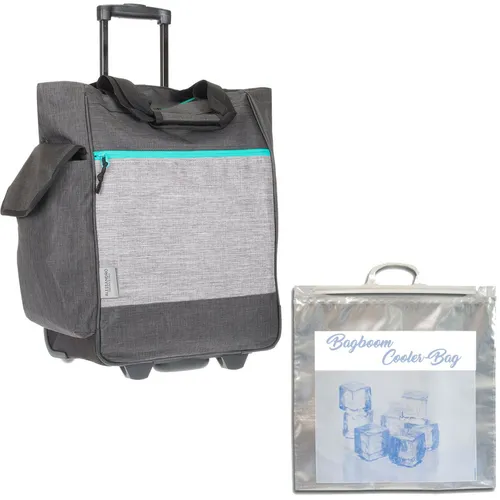 Einkaufstrolley Alessandro Pro 12894 TT Grau mit Thermo Bag