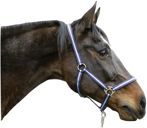 Kerbl Halfter Hippo marine/hellblau