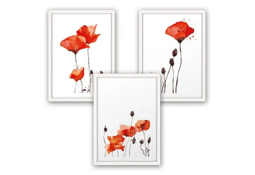 Kreative Feder Poster, Mohnblume, Blüte, Blume, Aquarell, rot (Set, 3 St), 3-teiliges Poster-Set, Wandbild, optional mit Rahmen, DIN A4 oder A3