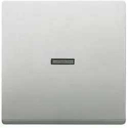 Busch-Jaeger 1789 N-866 Wippe 1-fach mit kleiner transparenter Kalotte, edelstahl matt, pur Edelstahl