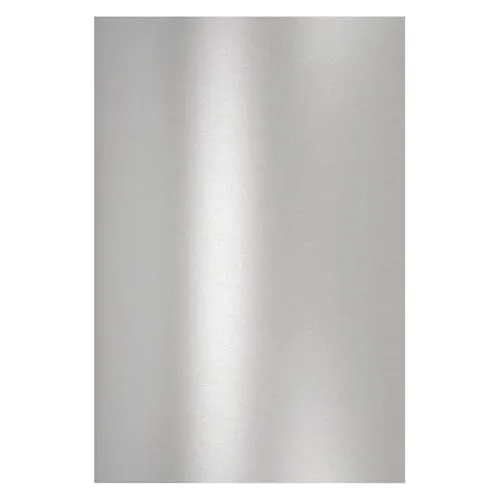 Drucker- & Kopierpapier Silber von Netuno