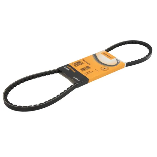 Continental Ctam Keilriemen AVX10X920