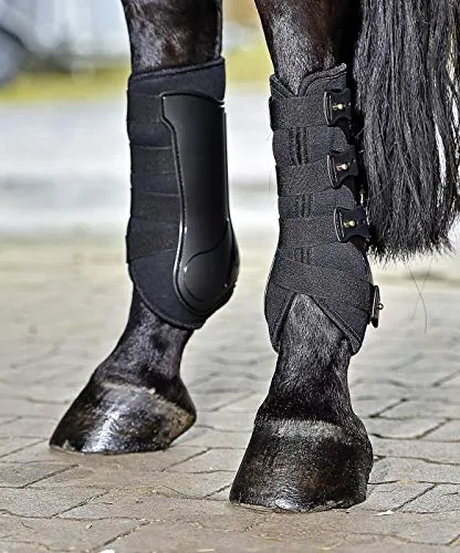 BUSSE Gamaschen Dressage Pro - Hochwertige Dressurgamaschen mit stabiler Hartschale und anatomischer Form für optimalen Schlagschutz. Maximale Luftzirkulation durch perforierten Kautschuk für hohen Tragekomfort. Ideal für Vorder- und Hinterbeine.