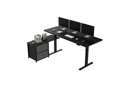 FLEXISPOT Höhenverstellbarer Schreibtisch L-förmig mit Stauraum