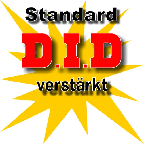 DID verstärkt Kettenkit Yamaha YBR 125, 05-06, RE031, RE041