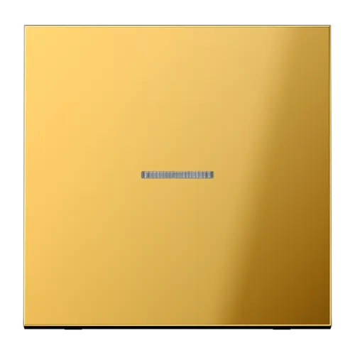 Jung Wippe mit Lichtleiter (goldfarben) in gold von Jung