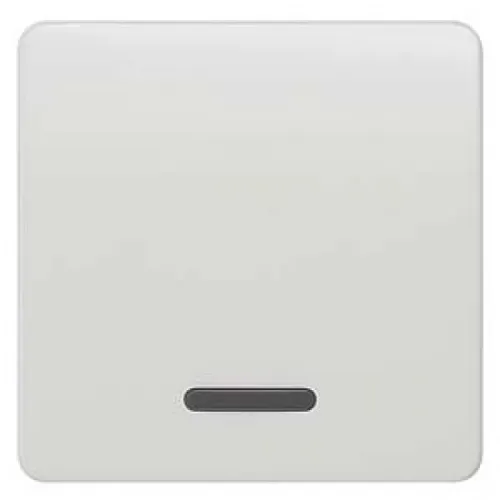 Siemens 5TG7800 Wippe mit Fenster titanweiss