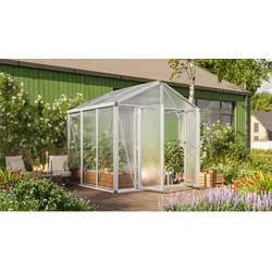Vitavia Gewächshaus Zeus Comfort 6200, HKP 10mm