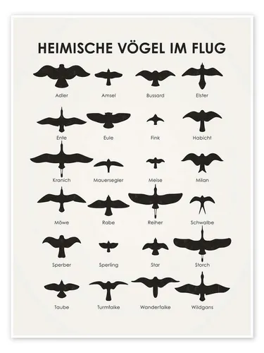 Posterlounge Wandbild Heimische Vögel im Flug, Iris Luckhaus, erhältlich als Poster, Leinwandbild, Wandsticker oder Acrylglasbild