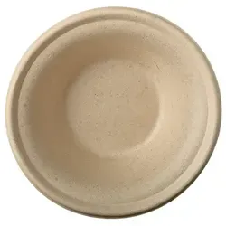 PAPSTAR 50 Schalen, Zuckerrohr