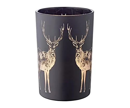 EDZARD Windlicht Tiu in schwarz von Edzard