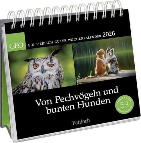 Postkartenkalender 2026: Von Pechvögeln und bunten Hunden: Ein tierisch guter Wochenkalender | Zum Aufstellen, Tischkalender mit Spiralbindung und 53 Postkarten zum Heraustrennen