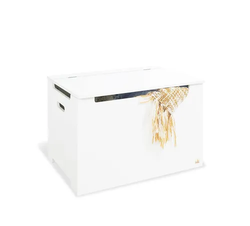 Pinolino® Spielzeugtruhe mit Klappendämpfer – Sicherheit und Stauraum für Kinder - Spielzeugkiste aus hochwertigem MDF mit Klappendämpfer für kindersicheren Deckel. Ideal für Ordnung im Kinderzimmer und vielseitig nutzbar als Sitzbank bis 30 kg.