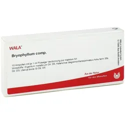 Bryophyllum Comp. Ampullen - Arzneimittel zur Unterstützung bei Stress und zur Förderung der Entspannung, apothekenpflichtig und online erhältlich.