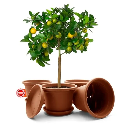 BigDean 4 Stück Blumentopf mit Untersetzer rund ø 35 cm Terracotta – wetterfester Pflanzkübel Made in Europe