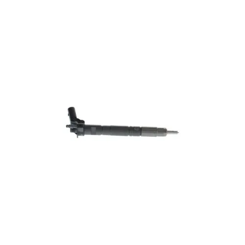 Bosch Einspritzdüse 0 445 116 010