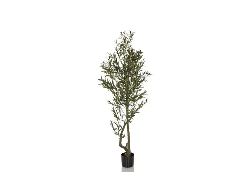 Bümö Kunstpflanze Olivenbaum Groß – Pflegeleichter Hingucker - Große Olivenbaum Kunstpflanze für jeden Raum. Pflegeleicht, robust und ideal für Allergiker. Bringt mediterranes Flair in Ihr Zuhause oder Büro, ohne Aufwand für Pflege.