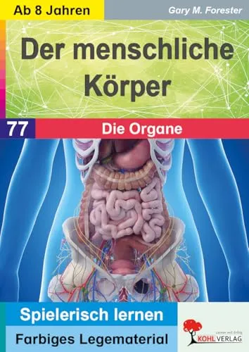 Der menschliche Körper