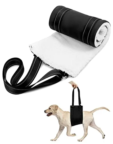 QWORK Hebegeschirr für Hunde – Unterstützung der Hinterbeine, verstellbare Mobilitätshilfe mit 71 x 20 cm Stützpolster, Gehhilfe für Senioren, verletzte oder behinderte Hunde