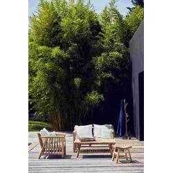 Couchtisch Fred aus Teakholz von Jan Kurtz