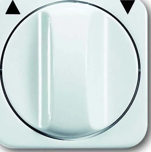 Busch-Jaeger Zentralscheibe aws 2542 DR-214 Alpinweiß