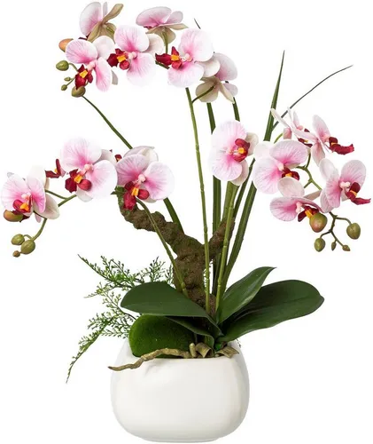Kunstorchidee Phalaenopsis im Keramiktopf - Deko-Orchidee mit real-touch-Blüten - Kunstorchideen, detailgetreu und zeitlos in einem weißen Keramiktopf, ideal für jeden Raum und als Geschenk. Bringt blühende Eleganz in Ihr Zuhause.