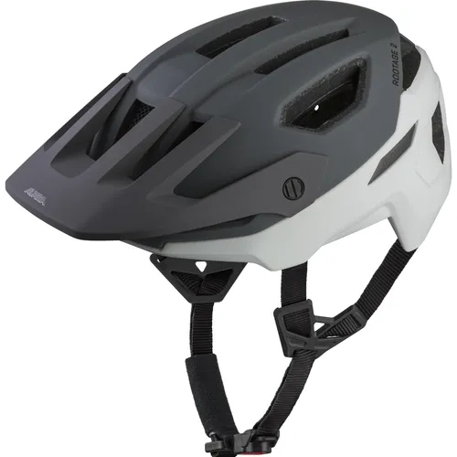 Alpina Rootage 2 Radhelm 55-59 cm grau