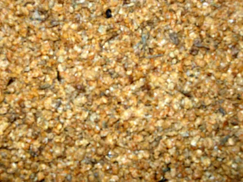 Wasserflöhe Daphnien 1000ml, Fischfutter