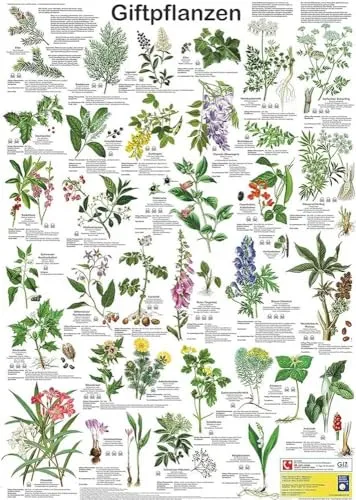 Giftpflanzen (Planet-Poster-Box) von Planet Poster Editions