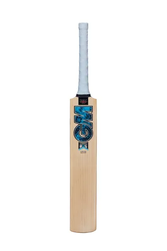 Gunn and Moore GM Diamond 202 Kashmir Willow Cricket Bat von Gunn And Moore