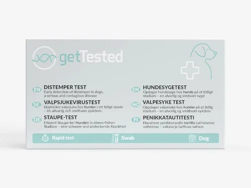 GetTested International AB Unverträglichkeitstest Staupe-Test für Hunde, 1 Messparameter, Testkit, 1-tlg., CDV-Test für Hunde, Staupe-Test für Hunde
