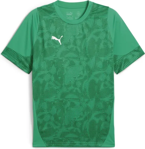 Puma teamCUP Trainingstrikot Herren - Grün/Silber, Gr. S - Trikots für Herren mit innovativer dryCELL-Technologie aus 100% recyceltem Polyester. Perfekt für Mannschaftssportarten, bietet es Atmungsaktivität und einen modernen Slim Fit für höchsten Komfort.