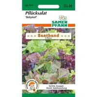SAMEN PFANN Pflücksalat Baby Leaf